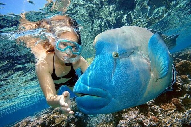 Orange Bay Island 2 Snorkeling Stops Water Sports Romantic Escape - Two snorkeling stops, with an important qualification