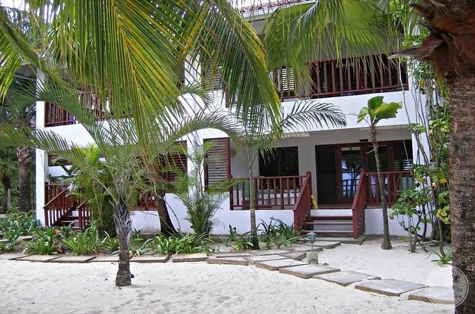 Private Airport Transfer to Couples Swept Away Negril - Who will appreciate this transfer most