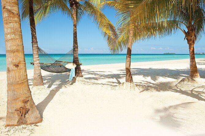 Private Airport Transfer to Couples Swept Away Negril - What the private vehicle changes