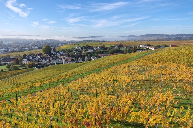 Private day trip to the Romantic Rhine Valley with river cruise and wine tasting - Why a private Rhine trip works so well