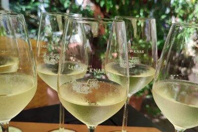 Private day trip to the Romantic Rhine Valley with river cruise and wine tasting