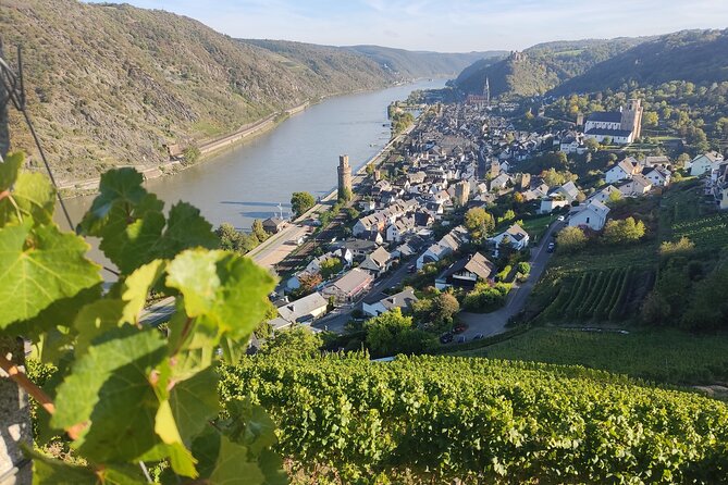 Private day trip to the Romantic Rhine Valley with river cruise and wine tasting - Rüdesheim, Drosselgasse, and time for lunch