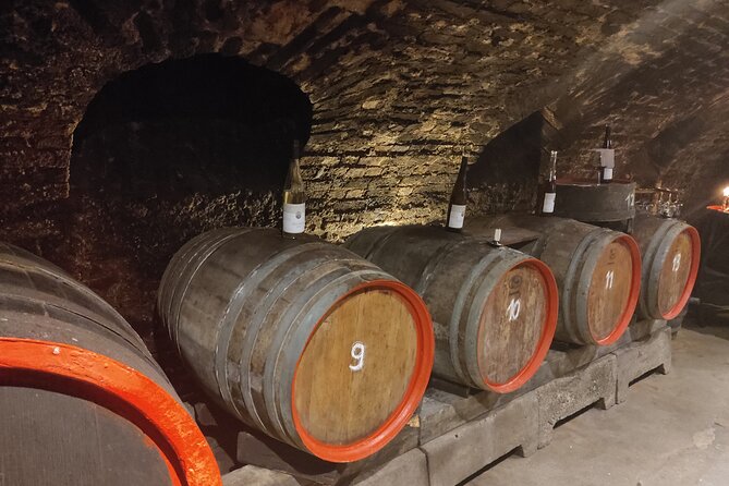 Private day trip to the Romantic Rhine Valley with river cruise and wine tasting - Burg Rheinfels, a massive fortress above the river