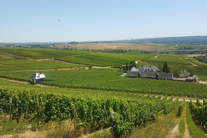 Private day trip to the Romantic Rhine Valley with river cruise and wine tasting - Oberwesel wine tasting and a cellar visit