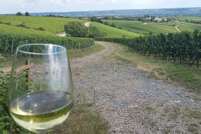 Private day trip to the Romantic Rhine Valley with river cruise and wine tasting - Bacharach, the romantic final village