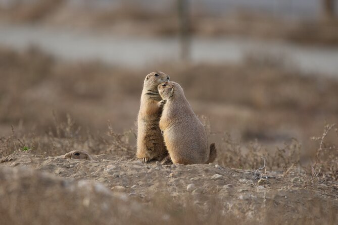 Private Nature Tour for Couples - Wildlife watching beyond the birds
