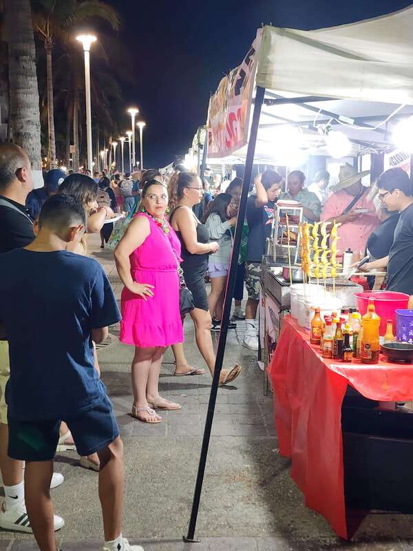 Puerto Vallarta: Malecon and Romantic Zone Nightlife Tour - Olas Altas and Basilio Badillo after dark