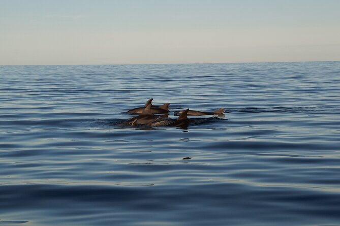 Pula Sunset Cruise: Brijuni Views, Drinks, Romance (Max 6 Guests) - The Optional Swim, SUP, and Snorkeling Stop