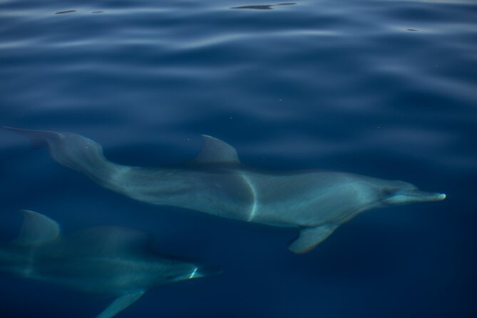 Pula Sunset Cruise: Brijuni Views, Drinks, Romance (Max 6 Guests) - The Twilight Sail Back to Pula