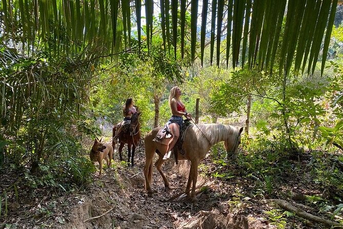 Rey Spearo - Enchanting And Romantic Custom Created Tours - Meeting the horses before the jungle ride