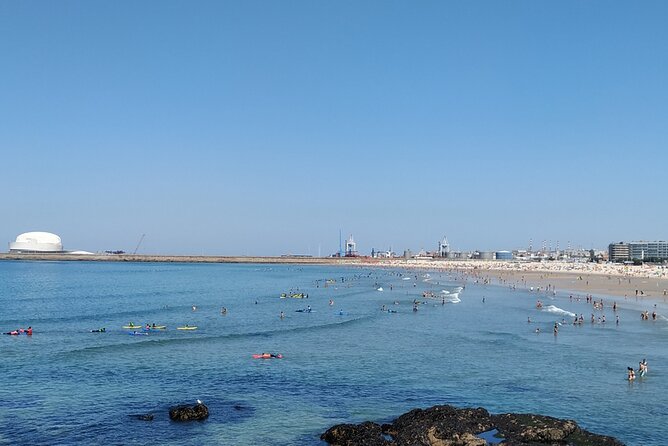 Ride through romantic Foz in an eco-friendly car - Massarelos and the Arrábida Bridge