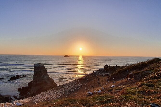 Romantic Auckland Sunset tour with Winery & Thermal pool - Key points to know before booking