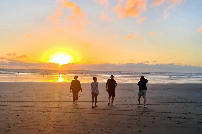 Romantic Auckland Sunset tour with Winery & Thermal pool - Dinner and wine at The Hunting Lodge