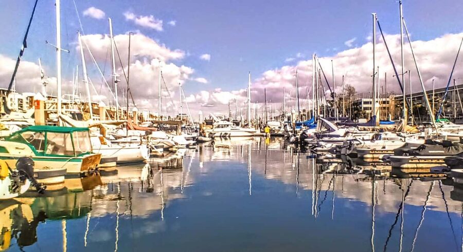 Romantic Boat Cruise with Wine & Cheese or Surprise Dinner - Sunset, sunrise, and marine life