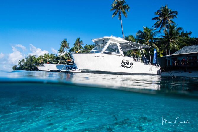 Romantic Dive for beginners in Bora Bora (2 people) with Video - Is the $491.54 price good value?