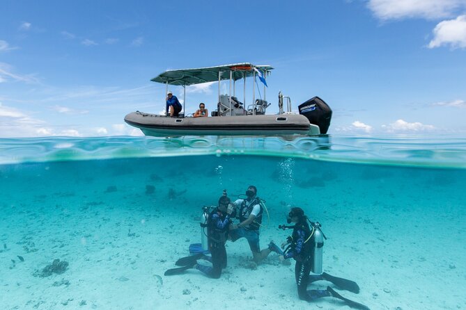 Romantic dive in the lagoon of Bora Bora. Private instructor on a shared boat - Exploring a prime spot in Bora Bora’s lagoon