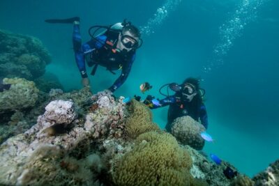Romantic dive in the lagoon of Bora Bora. Private instructor on a shared boat