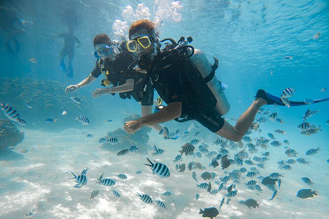 Romantic dive in the lagoon of Bora Bora. Private instructor on a shared boat - What $479 gets you