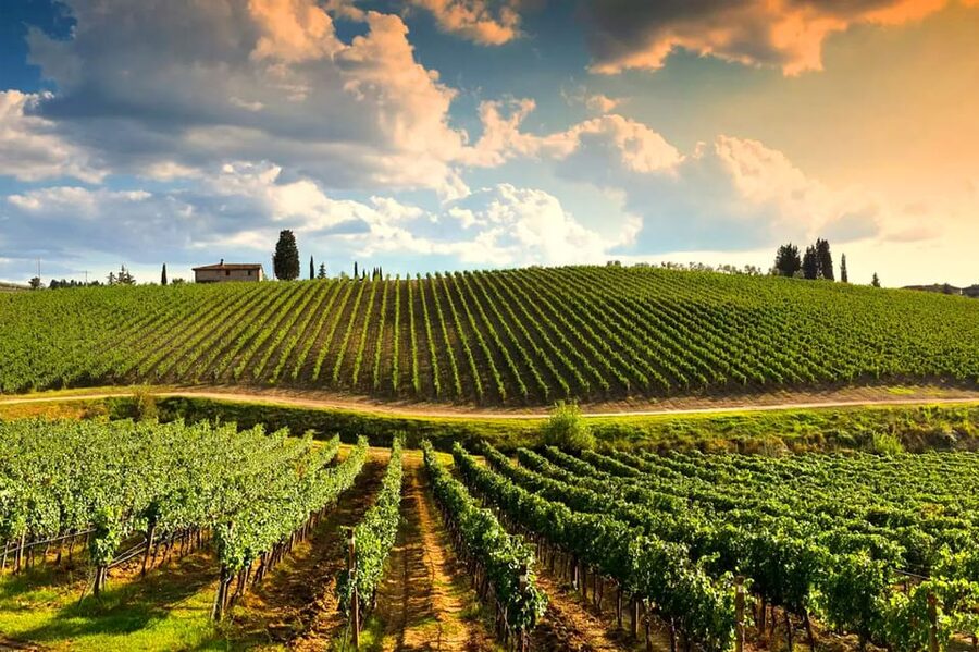 Romantic Escape in Tuscany with Overnight and Wine Tasting - What makes this Tuscan overnight special