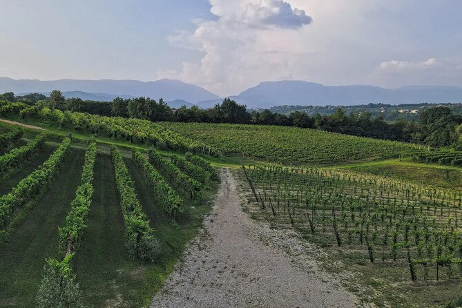 Romantic Evening Tasting with the Best Prosecco - Who will enjoy this tasting most