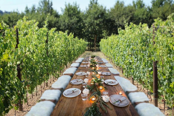 Romantic Lunch in the Vine Rows in Tuscany - Timing, Group Size, and Practical Details