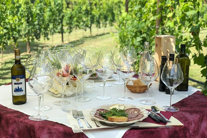 Romantic Lunch in the Vine Rows in Tuscany - A Tuscan Welcome Before Lunch
