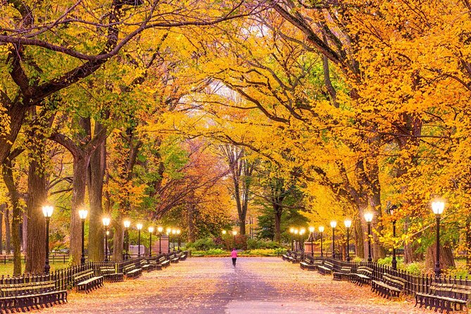 Romantic Proposal Carriage Tour in Central Park - Key points to know before booking