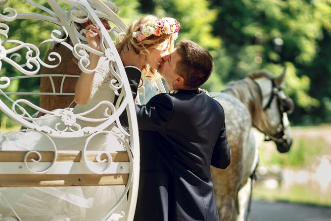 Romantic Proposal Carriage Tour in Central Park - Why this Central Park ride works for a proposal