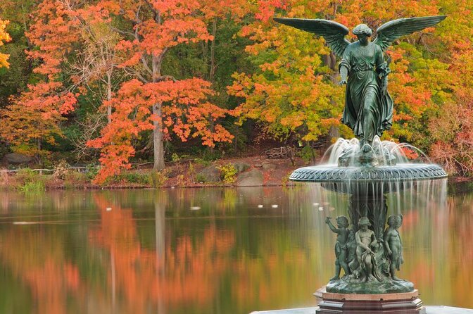 Romantic Proposal Carriage Tour in Central Park - The carriage route through Central Park