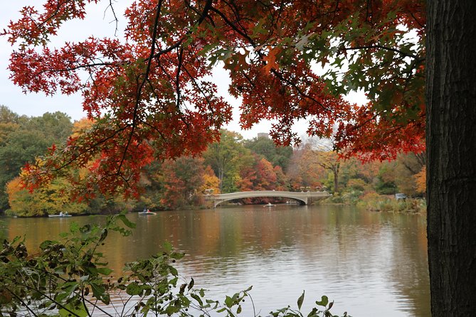 Romantic Proposal Carriage Tour in Central Park - Bow Bridge and The Lake