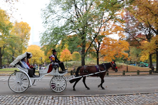 Romantic Proposal Carriage Tour in Central Park - Bethesda Fountain and the Angel of the Waters