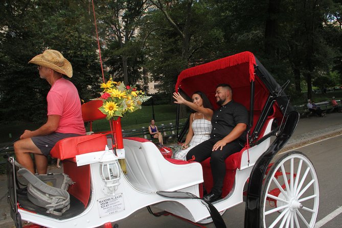 Romantic Proposal Carriage Tour in Central Park - What $415 means for your group