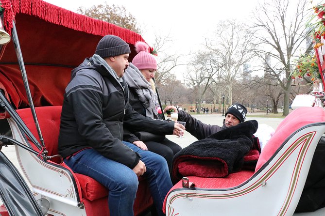 Romantic Proposal Carriage Tour in Central Park - Timing, group size, and practical details