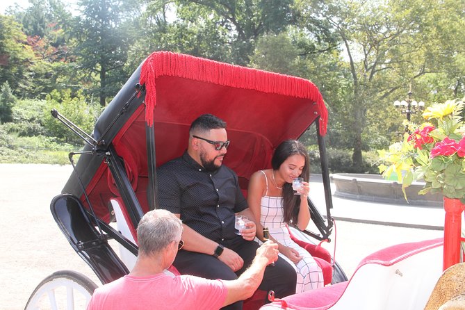 Romantic Proposal Carriage Tour in Central Park - Meeting at West 59th Street