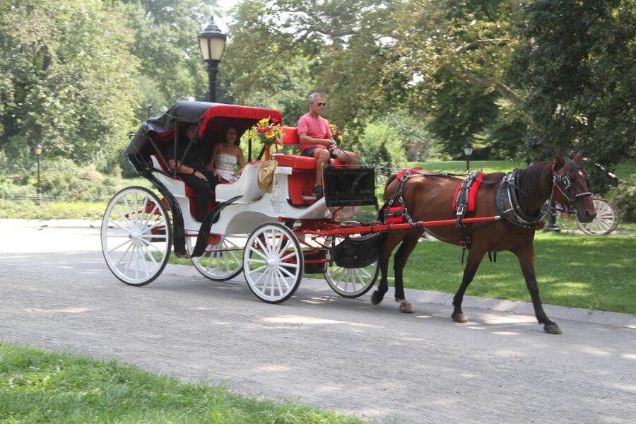 Romantic/Proposal Central Park Carriage Tour Up to 4 Adults - Key points to know before booking