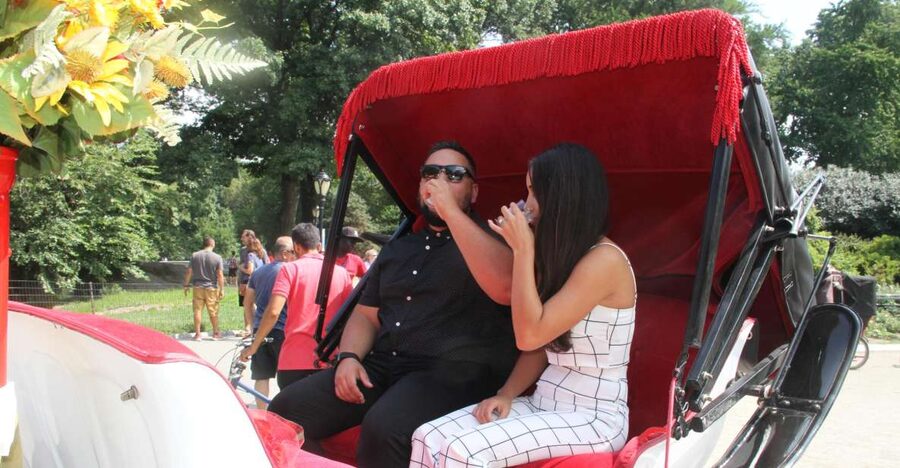 Romantic/Proposal Central Park Carriage Tour Up to 4 Adults - Booking advice for a smoother proposal