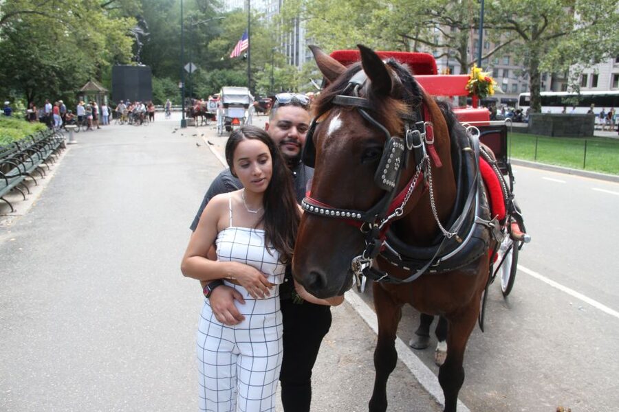 Romantic/Proposal Central Park Carriage Tour Up to 4 Adults - Choosing between Bow Bridge and Bethesda Fountain