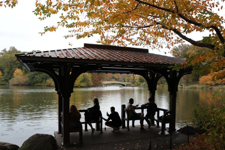 Romantic/Proposal Central Park Carriage Tour Up to 4 Adults - Champagne, roses, and the small details
