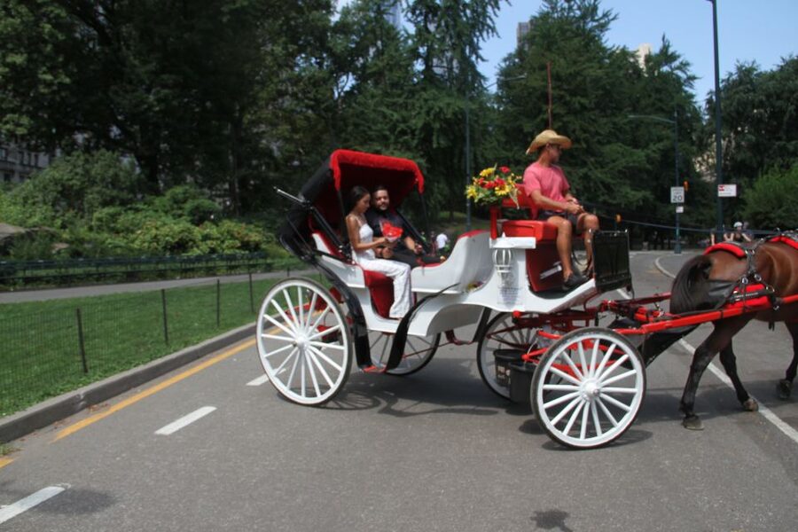 Romantic/Proposal Central Park Carriage Tour Up to 4 Adults - Adding the photographer for $100