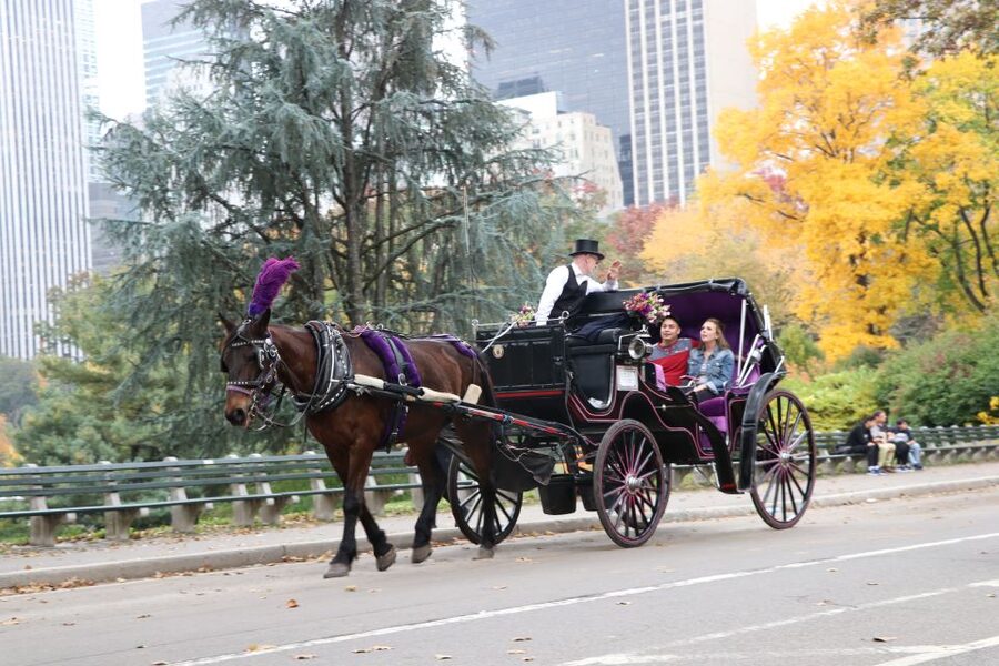Romantic/Proposal Central Park Carriage Tour Up to 4 Adults - Covered carriages, blankets, and weather