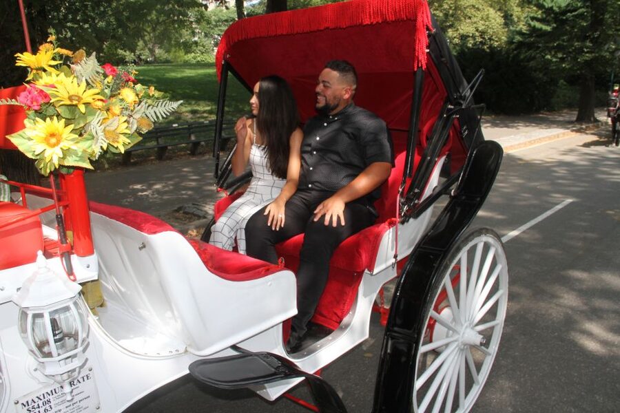 Romantic/Proposal Central Park Carriage Tour Up to 4 Adults - What the 50-minute ride feels like