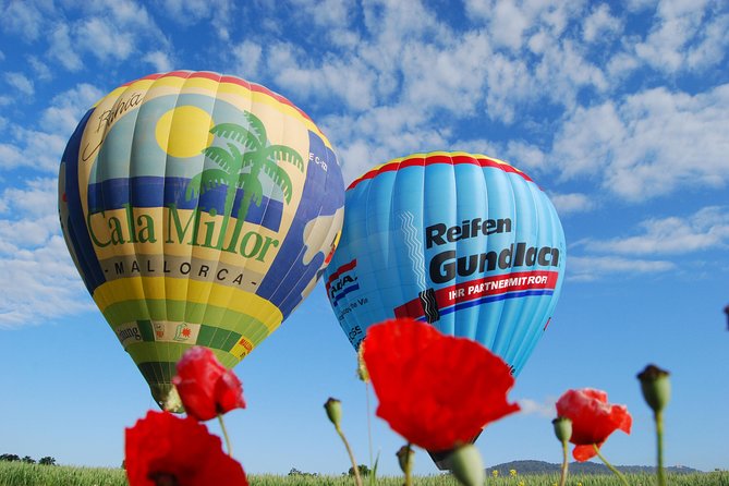 Romantic Sunrise Balloon Tour in Majorca - What the $229.77 price really buys