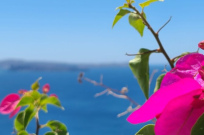 Romantic Tour through Santorini - Fira: one hour above the caldera