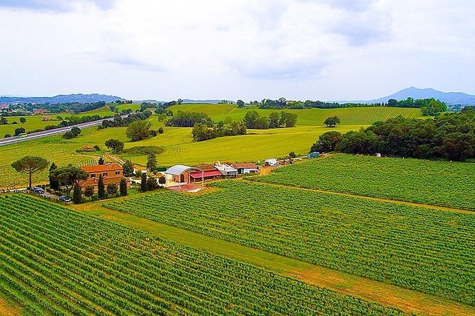 Romantic Vespa Tour and Wine Tasting - Choosing between Val d’Orcia and Lake Trasimeno
