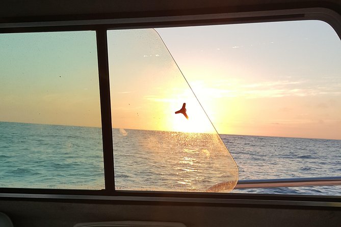 Romantic Wine and Cheese Boat Tower Cruise - A private sunset cruise on Mission Bay