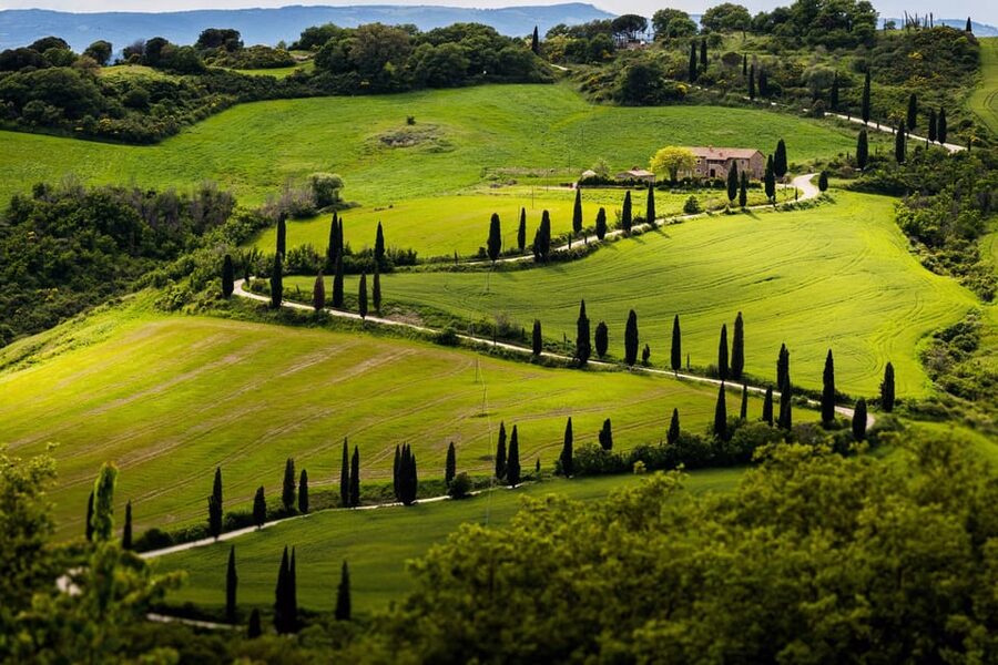 ROMANTIC WINE TOUR FOR 2 - Wine Tour in Chianti (Tuscany) - Second winery: a different view of winemaking