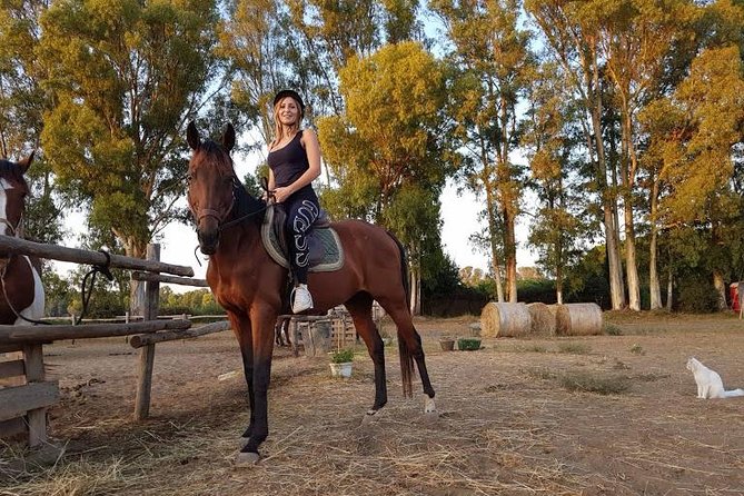 Rome : Horseback Riding with meals and wine included - Roman food, wine, and the meal question