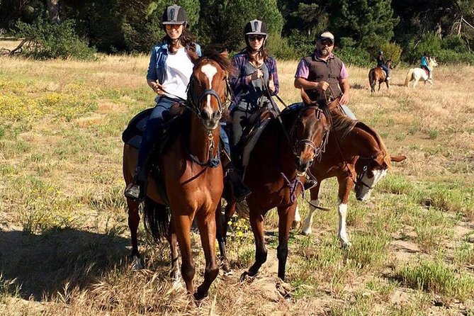 Rome : Horseback Riding with meals and wine included - Is the $165.06 price a good value?