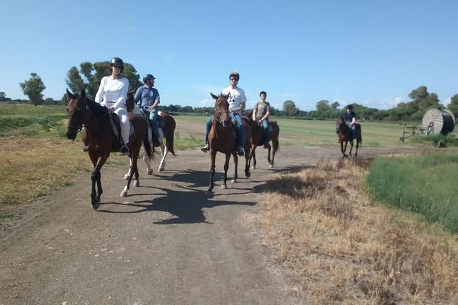 Rome : Horseback Riding with meals and wine included - Grooming the horses before the ride