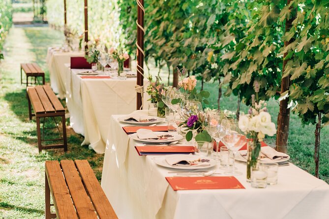 San Gimignano Romantic Dinner in the Vineyards - Who should book this winery dinner?